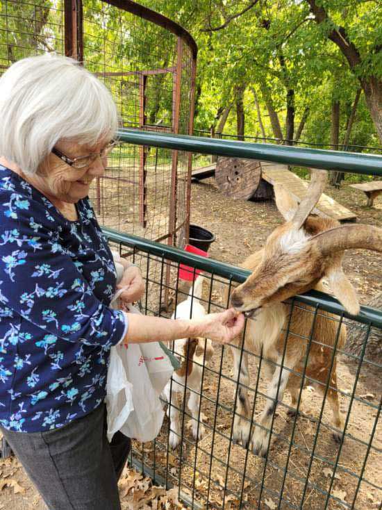 Cornerstone Assisted Living Activities Abound, farm visit