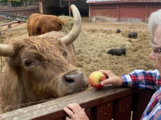 Cornerstone Assisted Living Activities Abound, farm visit