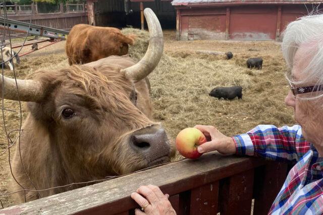 Cornerstone Assisted Living Activities Abound, farm visit