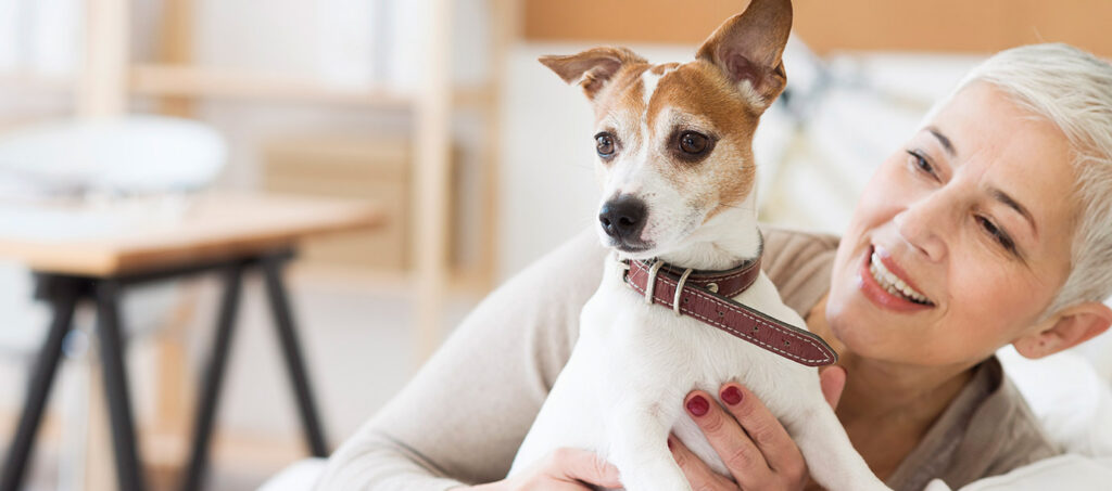 Resident spends time with a pet in a comfortable home setting at a community like Cornerstone Independent Living in Plymouth MN.